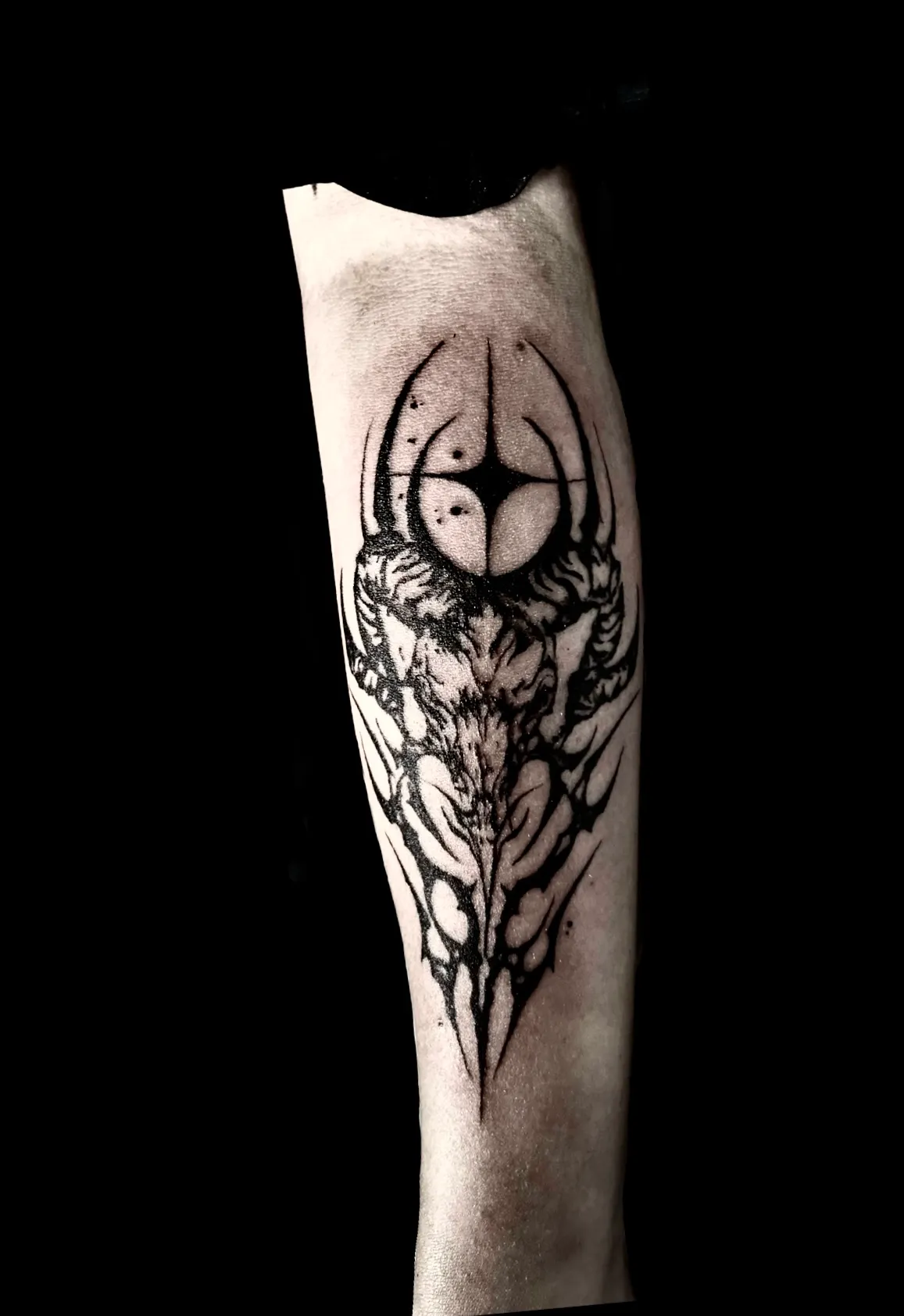 TATSU work 1